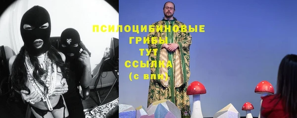 ПСИЛОЦИБИНОВЫЕ ГРИБЫ Пестово