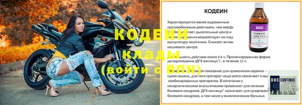 крисы Пересвет