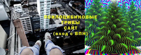 мескалин Переславль-Залесский