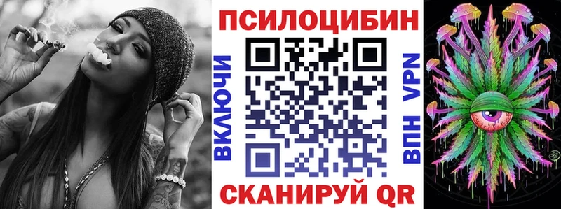 Псилоцибиновые грибы Psilocybe Лиски