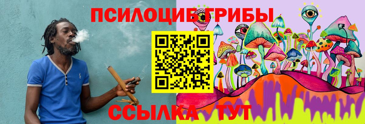 Псилоцибиновые грибы Cubensis Лиски